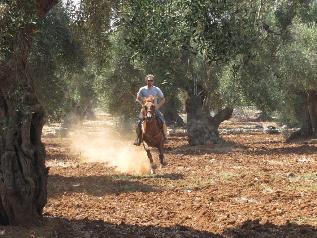 Antica Masseria Carparelli Guest House ออสตูนี ภายนอก รูปภาพ